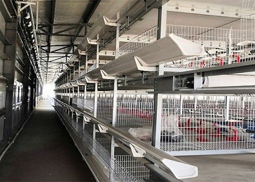 Prefabrykowany kurnik z prefabrykowaną konstrukcją stalową OEM / ODM