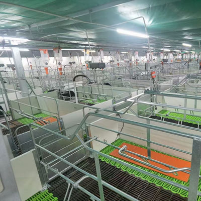 Lekka konstrukcja stalowa Pig House Ocynkowane prefabrykowane budynki rolnicze