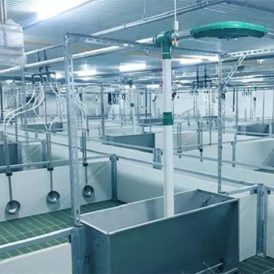Lekka konstrukcja stalowa Pig House Ocynkowane prefabrykowane budynki rolnicze