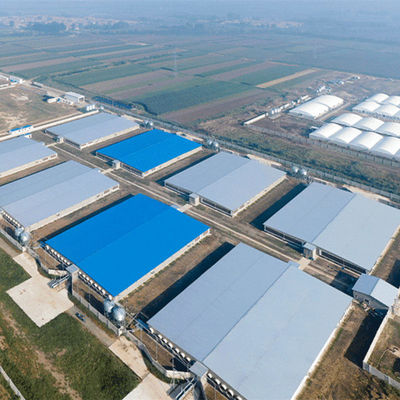 Farma o lekkiej konstrukcji stalowej Ognioodporny stalowy kurnik GB
