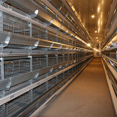 Farma o lekkiej konstrukcji stalowej Ognioodporny stalowy kurnik GB