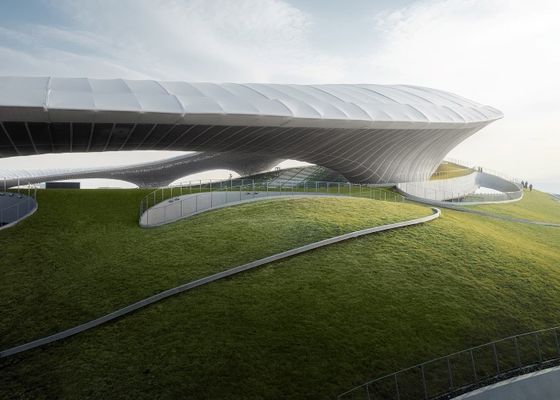 Dostosowana konstrukcja stalowa Stadion Q355 Prefabrykowane budynki metalowe Gimnazjum
