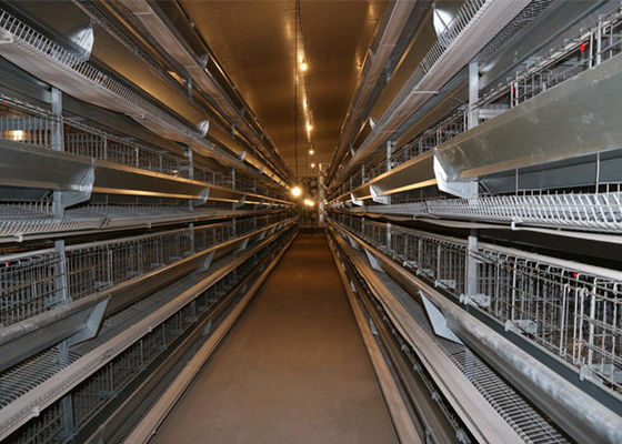 Farma ocynkowanej konstrukcji stalowej Wiatroodporna stalowa rama Kurnik