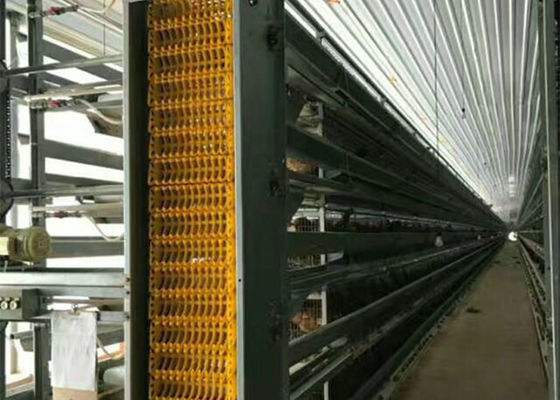 Q235B / Q355B Konstrukcja stalowa Farma Kurnik Ognioodporny GB