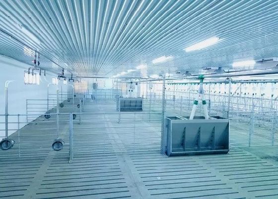 Wiatroodporna konstrukcja stalowa Portal chlewni Prefabrykowana stalowa rama ISO9001
