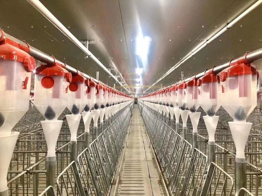 Wiatroodporna konstrukcja stalowa Portal chlewni Prefabrykowana stalowa rama ISO9001