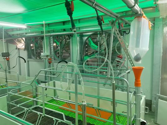 Wiatroodporna konstrukcja stalowa Portal chlewni Prefabrykowana stalowa rama ISO9001