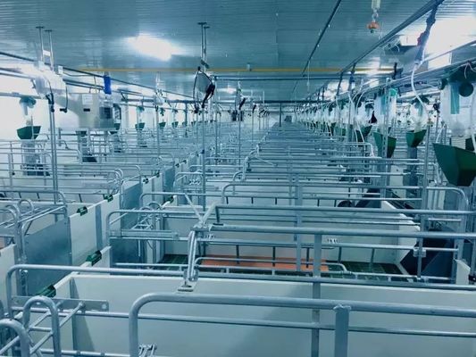 Wiatroodporna konstrukcja stalowa Portal chlewni Prefabrykowana stalowa rama ISO9001