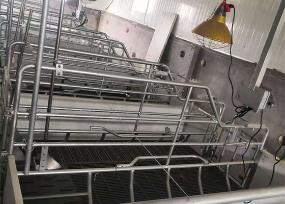 Prefabrykowana konstrukcja stalowej ramy portalu Konstrukcja wiatroszczelna świnia