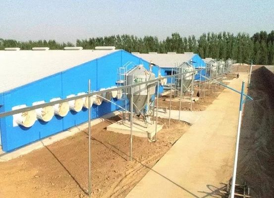 OEM / ODM Konstrukcja stalowa Pig House Ognioodporne prefabrykowane budynki gospodarcze