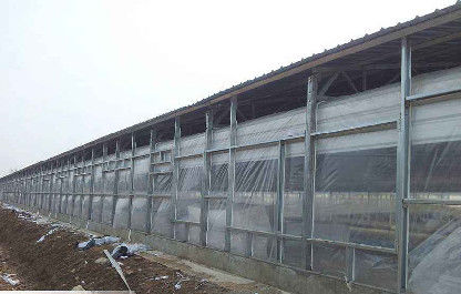 OEM / ODM Konstrukcja stalowa Pig House Ognioodporne prefabrykowane budynki gospodarcze