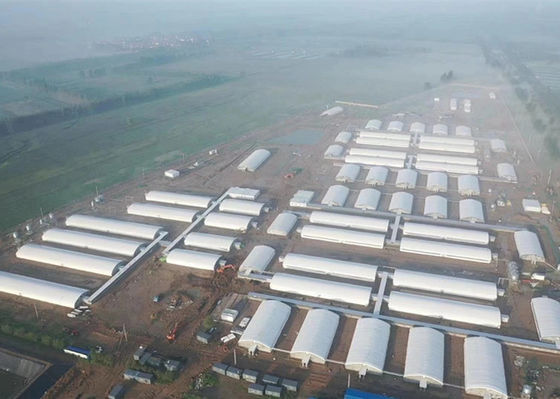 Q355 / Q235 Konstrukcja stalowa Pig House Ognioodporne przemysłowe budynki stalowe