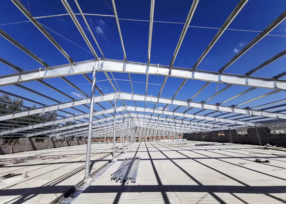 Q355 / Q235 Konstrukcja stalowa Pig House Ognioodporne przemysłowe budynki stalowe