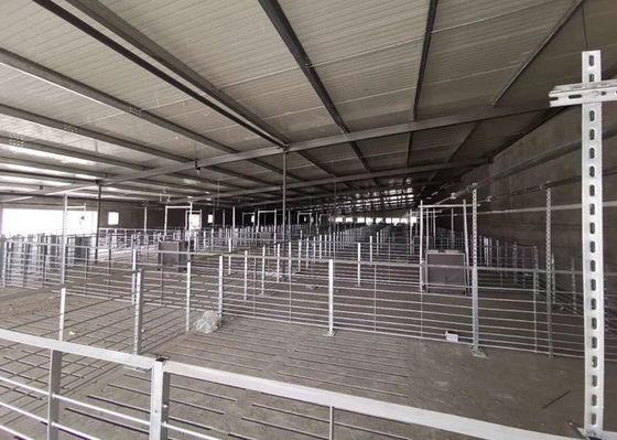 Q355 / Q235 Konstrukcja stalowa Pig House Ognioodporne przemysłowe budynki stalowe