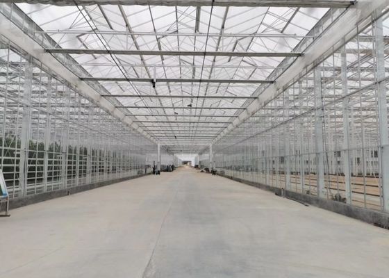 Zielona szklarnia ogrodowa ze szkła hartowanego dla dużych ozdobnych kwiatów