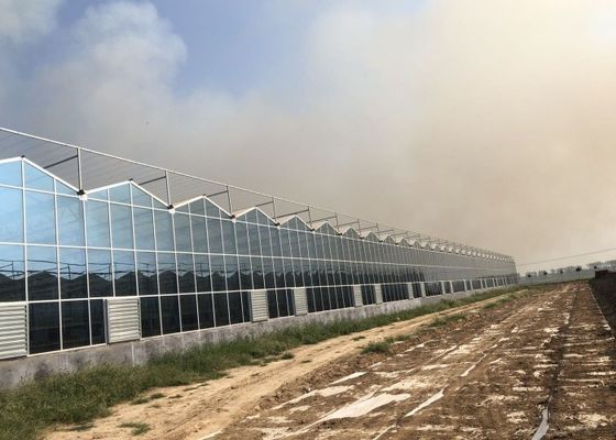 Zielona szklarnia ogrodowa ze szkła hartowanego dla dużych ozdobnych kwiatów