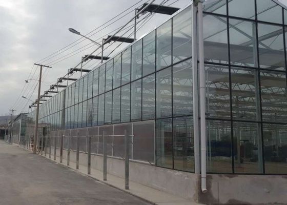Wysokiej jakości ocynkowana rura Szklana szklarnia Pokrywa komercyjna