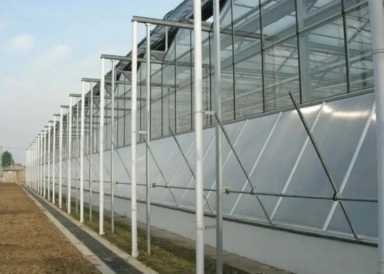 Wysokiej jakości ocynkowana rura Szklana szklarnia Pokrywa komercyjna