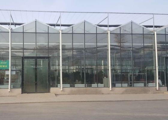 Wysokiej jakości ocynkowana rura szklarniowa Venlo Glass Commercial