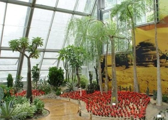 Winter Garden Sunlight Room Mała stalowa szklarnia Venlo Glass Laid Back