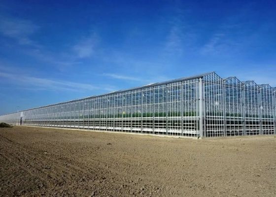 Zwiedzanie Szklana szkła Venlo Szklana szkła pokrywająca na zamówienie