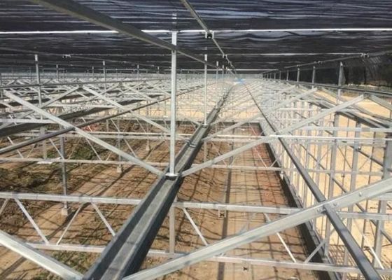 Zwiedzanie Szklana szkła Venlo Szklana szkła pokrywająca na zamówienie