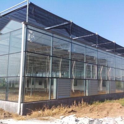 Wysokiej wydajności szkła do sadzenia warzyw dla pomidorów / ogórków