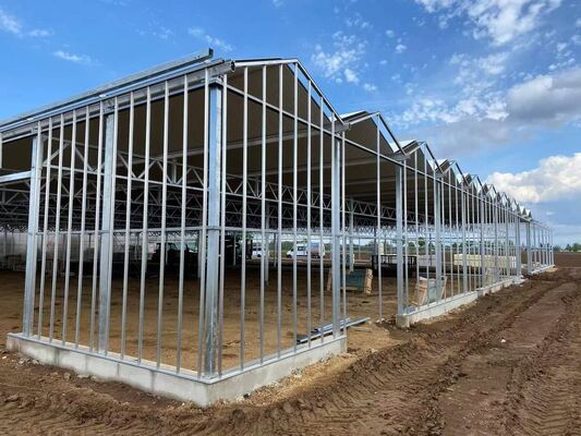 Szklana szklarnia Venluo - Szklarnia do hodowli warzyw na dużą skalę