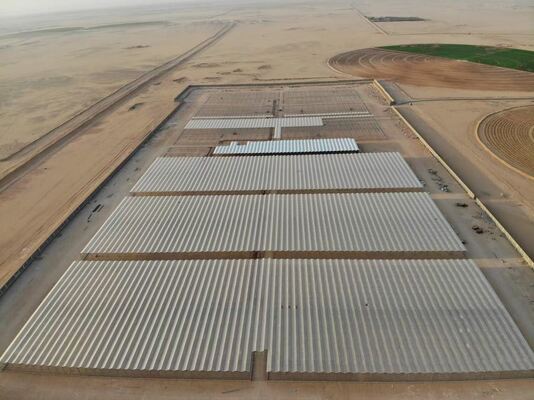 Wykorzystanie w rolnictwie, warzywa szklane, Wannuo