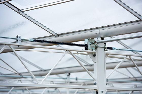 Wykorzystanie w rolnictwie, warzywa szklane, Wannuo