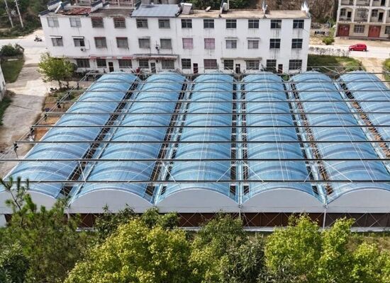 Szklarnia z folią polietylenową o ciągłym rozciągnięciu, wykorzystywana do zwiększenia plonów warzyw i przyspieszenia procesu dojrzewania warzyw