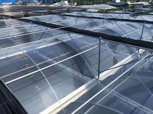 Szklana szkła turystyczna Wenlu - Szklana szkła do hodowli owoców w dużej skali