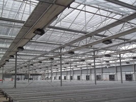 Szklarnia do uprawy owoców, duża szklana szklarnia do zwiedzania Woonloos